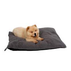 51 Degrees North Sheep Hundekissen -Tierfreund Günstiges Geschäft 51 degrees north sheep hondenkussen 141479 0500 none