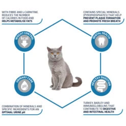 Affinity Advance Sterilized Pute - Katze -Tierfreund Günstiges Geschäft affinity advance sterilized kalkoen kat 178201 0500 none