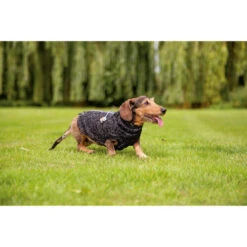 Beeztees Hundepullover Celia -Tierfreund Günstiges Geschäft beeztees hondentrui celia 219140 0500 none