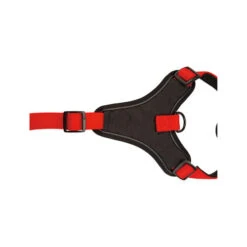 Beeztees Parinca Premium Y-Geschirr -Tierfreund Günstiges Geschäft beeztees parinca premium y tuig 199589 0500 none