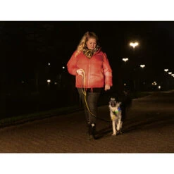 Beeztees Safety Gear Parinca Premium Halsband -Tierfreund Günstiges Geschäft beeztees safety gear parinca premium halsband 215009 0500 none