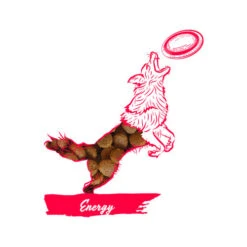 Calibra Dog Expert Nutrition Energy -Tierfreund Günstiges Geschäft calibra dog expert nutrition energy 163534 0500 none