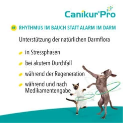 Canikur® Pro Diät-Ergänzungsfuttermittel Für Hunde -Tierfreund Günstiges Geschäft canikur pro 213692 0500 none