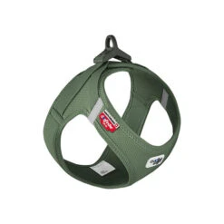 Curli Clasp Vest Geschirr Air-Mesh -Tierfreund Günstiges Geschäft curli vest harness clasp air mesh 196769 0500 none
