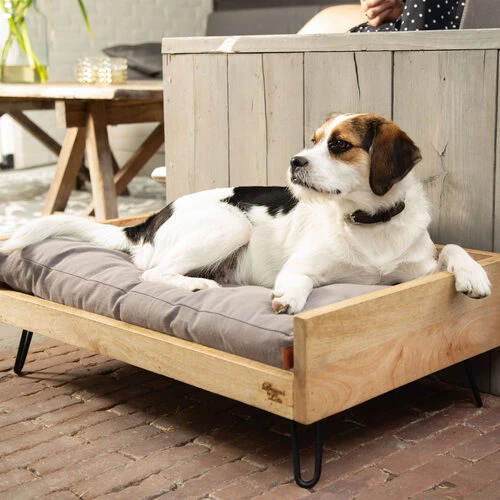 Designed By Lotte Hundebett Turana 2 Designed By Lotte Hundebett Turana – Bild 2