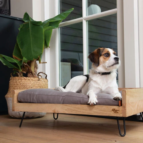 Designed By Lotte Hundebett Turana 3 Designed By Lotte Hundebett Turana – Bild 3