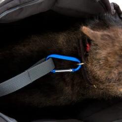 Doctor Bark Hundetragetasche -Tierfreund Günstiges Geschäft doctor bark honden draagtas 202157 0500 none