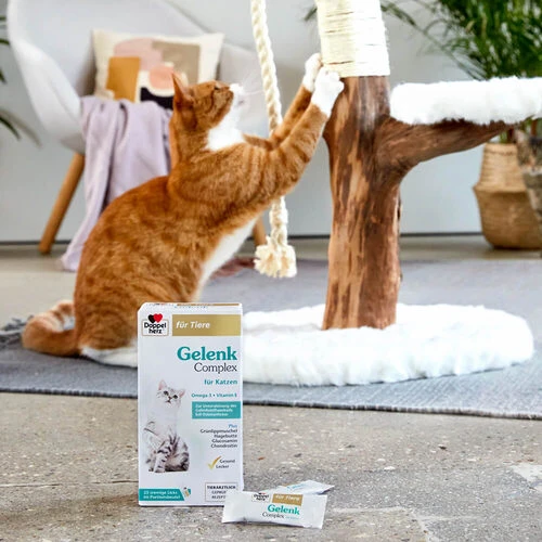 Doppelherz Gelenk Complex Für Katzen 6 Doppelherz Gelenk Complex Für Katzen – Bild 6