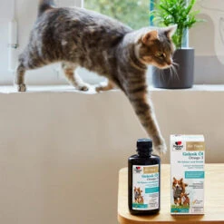 Doppelherz Gelenk Öl Omega-3 Für Katzen Und Hunde 16 Doppelherz Gelenk Öl Omega-3 Für Katzen Und Hunde -Tierfreund Günstiges Geschäft doppelherz gelenk oel fuer katzen hunde 195062 0500 none