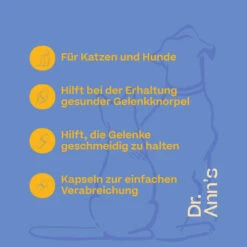 Dr. Ann's Mobility Support Plus -Tierfreund Günstiges Geschäft dr anns mobility support plus 203063 0500 none