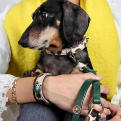 DWAM Halsband Ivy -Tierfreund Günstiges Geschäft dwam halsband ivy 180688 0500 none