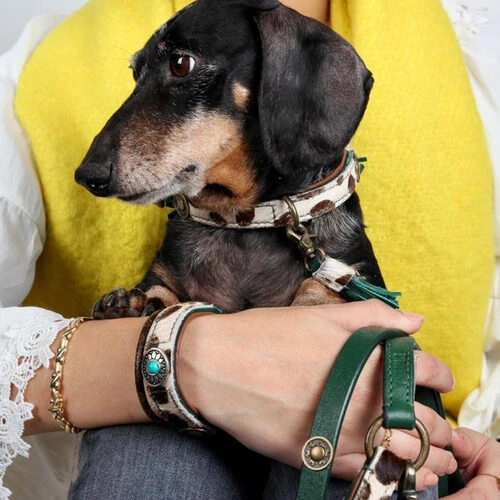 DWAM Hundeleine Ivy 2 DWAM Hundeleine Ivy – Bild 2