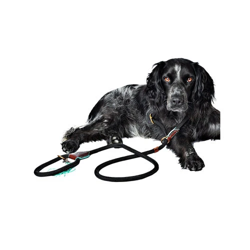 DWAM Hundeleine Long John 2 DWAM Hundeleine Long John – Bild 2