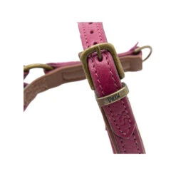 DWAM Hundegeschirr Lou Lou -Tierfreund Günstiges Geschäft dwam hondentuigje lou lou 182158 0500 none