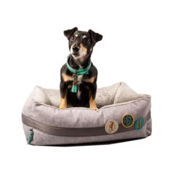 DWAM Jungle Love Korb 7 DWAM Jungle Love Korb -Tierfreund Günstiges Geschäft dwam jungle love mand 186595 0500 none