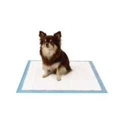 Easypets Trainingpads -Tierfreund Günstiges Geschäft easypets trainingspads 184186 0500 none