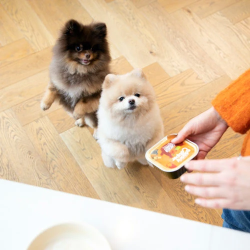 Edgard & Cooper Adult - Huhn & Truthahn - Im Schälchen 3 Edgard & Cooper Adult - Huhn & Truthahn - Im Schälchen – Bild 3