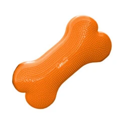 FitPAWS K9Fitbone -Tierfreund Günstiges Geschäft fitpaws k9fitbone 103132 0500 none