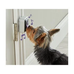 Hunger For Words Talking Pet Doorbell -Tierfreund Günstiges Geschäft hunger for words talking pet doorbell 216935 0500 none