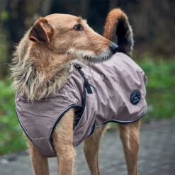 Hunter Hundemantel Uppsala -Tierfreund Günstiges Geschäft hunter hondemantel uppsala taupe 165685 0500 none