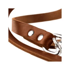 Hunter Trainingsleine - Braun -Tierfreund Günstiges Geschäft hunter trainingsriem bruin 175345 0500 none