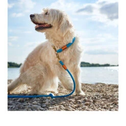 Hunter Verstellbare Führleine Oss -Tierfreund Günstiges Geschäft hunter verstelbare riem oss 116580 0500 none