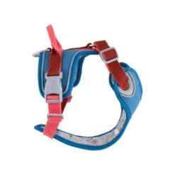 Hurtta - Geschirr Weekend Warrior Winter - Bilberry -Tierfreund Günstiges Geschäft hurtta weekend warrior winter harnas bilberry 216609 0500 none