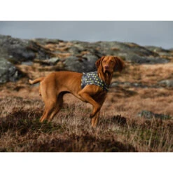 Hurtta Go Geschirr Storm Grey -Tierfreund Günstiges Geschäft hurtta go harness storm grey 201305 0500 none