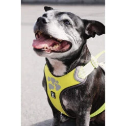 Hurtta Weekend Warrior Geschirr 28 Hurtta Weekend Warrior Geschirr -Tierfreund Günstiges Geschäft hurtta weekend warrior harness 189093 0500 none