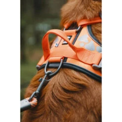 Hurtta Weekend Warrior Geschirr 23 Hurtta Weekend Warrior Geschirr -Tierfreund Günstiges Geschäft hurtta weekend warrior harness 189096 0500 none
