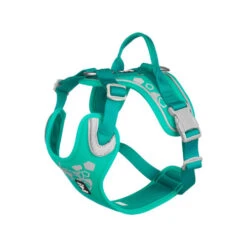 Hurtta Weekend Warrior Geschirr 18 Hurtta Weekend Warrior Geschirr -Tierfreund Günstiges Geschäft hurtta weekend warrior harness 203807 0500 none