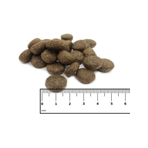 ICEPAW Scandic Duck 2 ICEPAW Scandic Duck – Bild 2