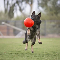 Jolly Soccer Ball -Tierfreund Günstiges Geschäft jolly soccer ball 162241 0500 none
