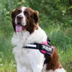 Julius K9 IDC Powergeschirr -Tierfreund Günstiges Geschäft julius k9 idc powertuig 192695 0500 none