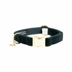 Kentucky Dogwear Corduroy Hundehalsband -Tierfreund Günstiges Geschäft kentucky dogwear corduroy hondenhalsband 219194 0500 none