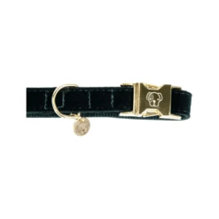 Kentucky Dogwear Corduroy Hundehalsband -Tierfreund Günstiges Geschäft kentucky dogwear corduroy hondenhalsband 219195 0500 none