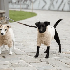 Kentucky Dogwear Hundejacke Teddy Fleece -Tierfreund Günstiges Geschäft kentucky dogwear hondenjas teddy fleece 219186 0500 none