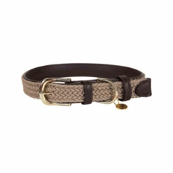 Kentucky Dogwear Nylon Hundehalsband -Tierfreund Günstiges Geschäft kentucky dogwear nylon hondenhalsband 219176 0500 none