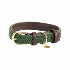 Kentucky Dogwear Nylon Hundehalsband -Tierfreund Günstiges Geschäft kentucky dogwear nylon hondenhalsband 219178 0500 none
