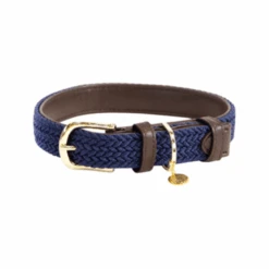 Kentucky Dogwear Nylon Hundehalsband -Tierfreund Günstiges Geschäft kentucky dogwear nylon hondenhalsband 219180 0500 none