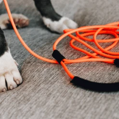 Kentucky Dogwear Schleppleine Soft Rubber -Tierfreund Günstiges Geschäft kentucky dogwear sleeplijn soft rubber 219203 0500 none