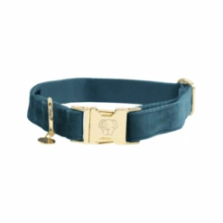 Kentucky Dogwear Velvet Hundehalsband -Tierfreund Günstiges Geschäft kentucky dogwear velvet hondenhalsband 219231 0500 none