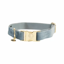 Kentucky Dogwear Velvet Hundehalsband -Tierfreund Günstiges Geschäft kentucky dogwear velvet hondenhalsband 219232 0500 none