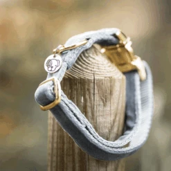 Kentucky Dogwear Velvet Hundehalsband -Tierfreund Günstiges Geschäft kentucky dogwear velvet hondenhalsband 219236 0500 none