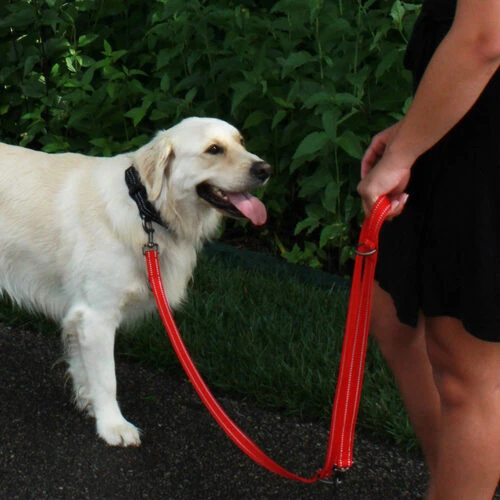 KONG Adjustable Leash 2 KONG Adjustable Leash – Bild 2