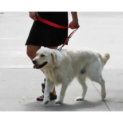 KONG Adjustable Leash 9 KONG Adjustable Leash -Tierfreund Günstiges Geschäft kong adjustable leash zwart 176941 0500 none