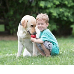 KONG Classic -Tierfreund Günstiges Geschäft kong classic 98642 0500 none