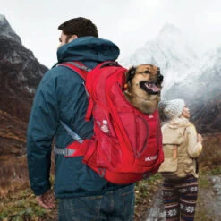 Kurgo G-Train K9 Pack -Tierfreund Günstiges Geschäft kurgo g train k9 pack 177133 0500 none