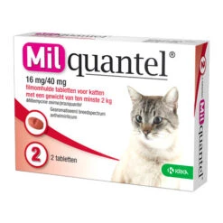 Milquantel Katze -Tierfreund Günstiges Geschäft milquantel kat 112607 0500 none
