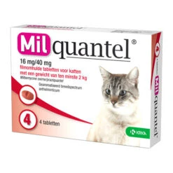 Milquantel Katze -Tierfreund Günstiges Geschäft milquantel kat 112610 0500 none